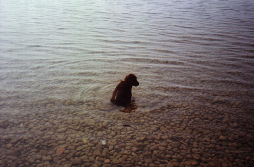 Vicky im Bodensee