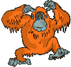 Affe